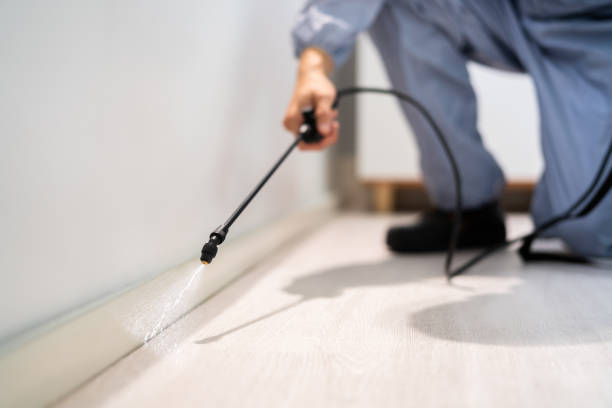 Rodent Entry Point Assessment in Houston