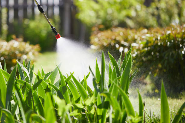 Tamper-Resistant Bait Stations for Rodents in Houston