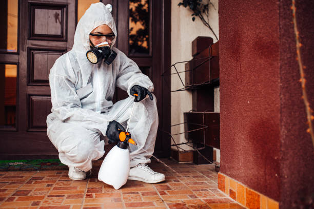 Attic and Crawl Space Rodent Treatment in Houston