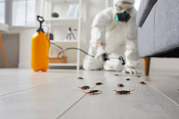 Commercial Rodent Management in Houston